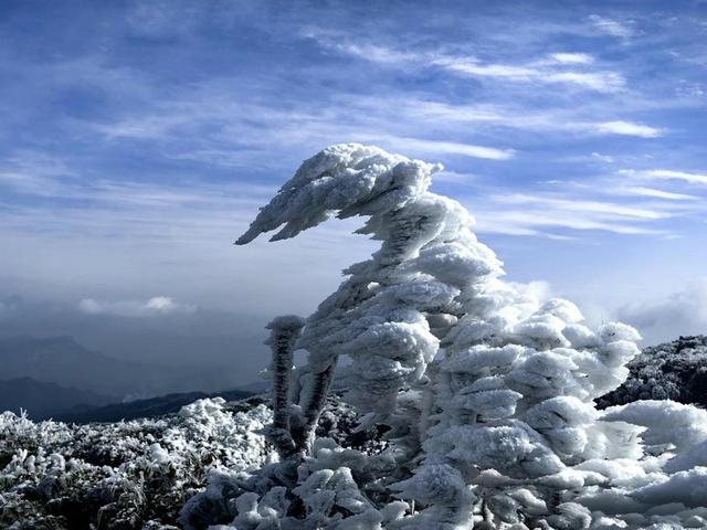 【雄奇山水 冬韵武隆】冰雪奇缘·南国雪国童话