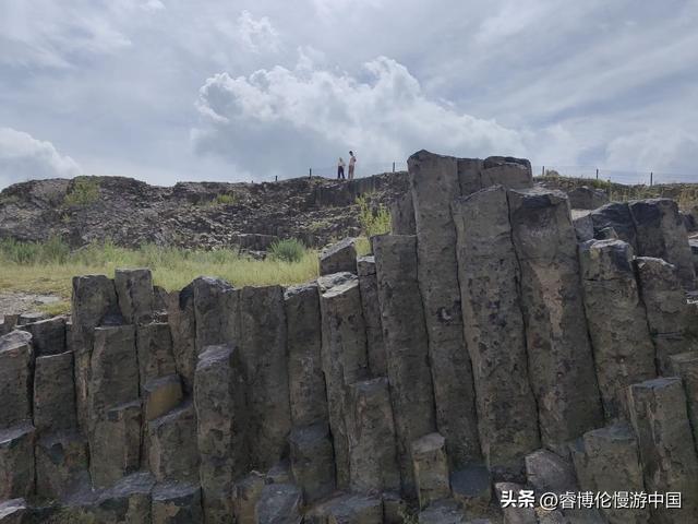 寻找谷力脑包