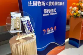 浆水酸奶味、甜醅子奶茶味雪糕来了！庄园、放哈联名打造西北文创雪糕新概念图片