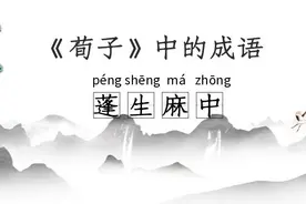 看文化｜《荀子》中的成语：蓬生麻中图片