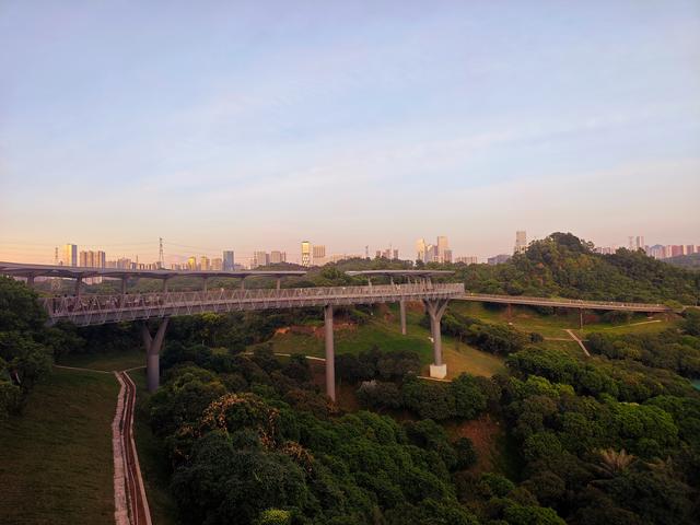 西丽湖国际科教城绿道，看霞飞满天，如梦似幻！长岭陂地铁C口