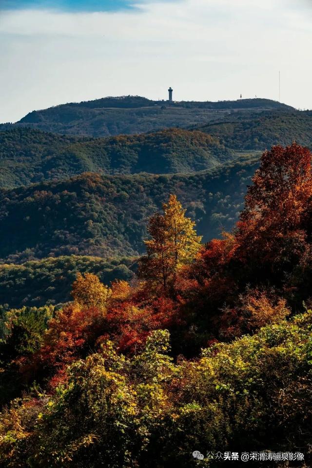 陕西渭南：姹紫嫣红 游人如织 服务周到 韩城香山红叶欣赏正当时