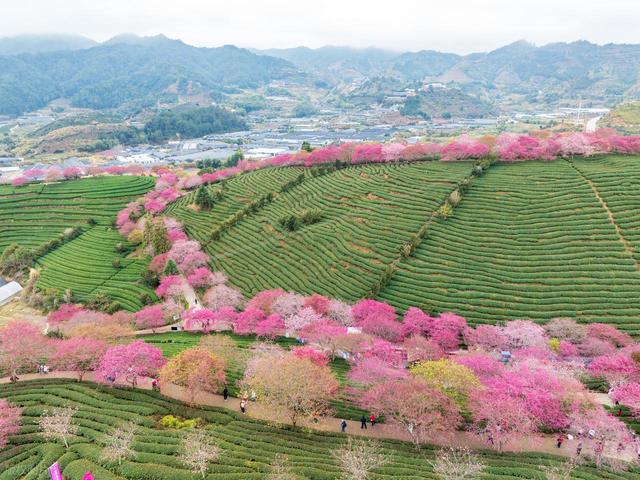 2月旅行好去处，去这6个地方，看看大自然，少想烦心事