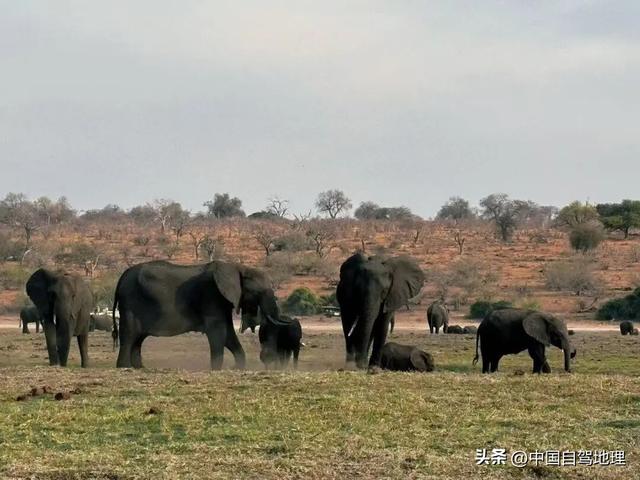 同事背着我们成了“南非旅游大使”？|中国自驾地理