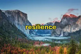 每天记住一个单词：resilience图片
