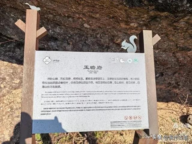 邂逅2026年的第一场醉美雾凇!温州四海山的雾凇美爆了!