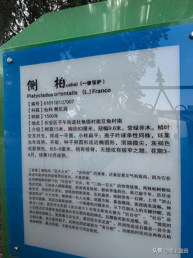 西安长安区南豆角村随拍