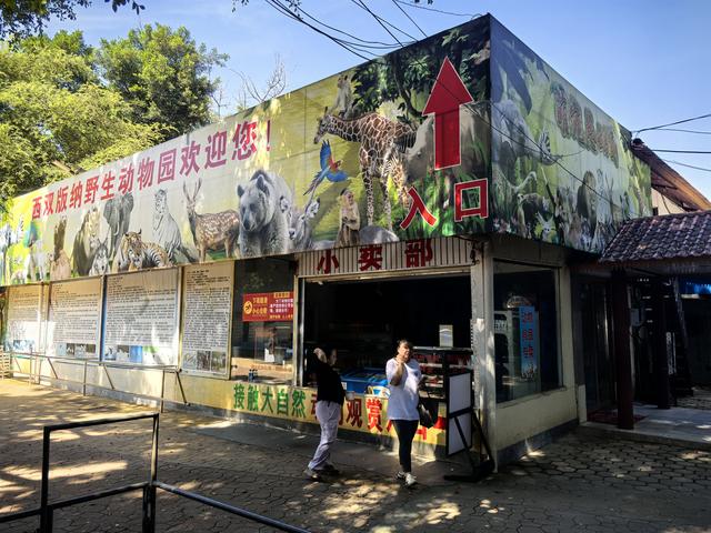 游览西双版纳热带动物园