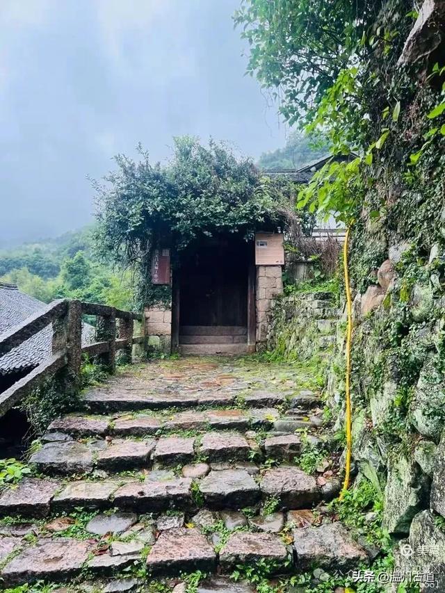 4A级免费景区徒步+避世绝美古村探幽，温州一日游的绝佳选择！