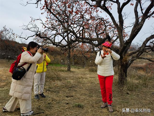彬州市：多举措提升罗店村柿林观赏地游客满意度