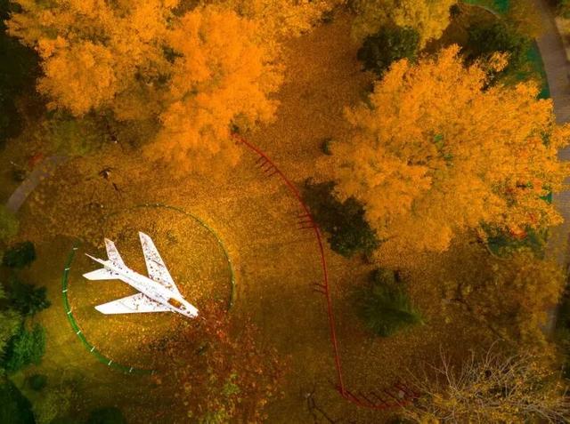 肥城秋冬的童话，收到了吗～满满诗意，满满爱！