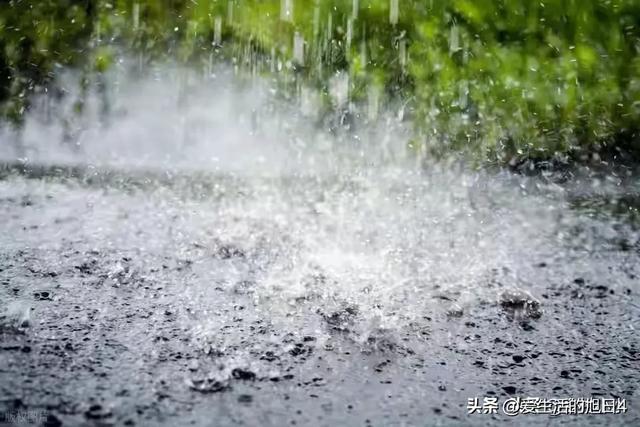 今日“处暑”，老人说最怕“处暑一日雨”，处暑下雨啥预兆？