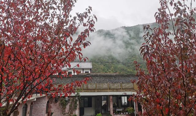 黄柏塬：山居听雨