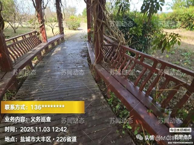 大丰人民路"寿园"：荒了里子，丢了面子，有关领导岀来看一看！