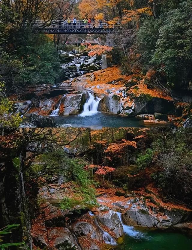 四川光雾山：这片680平方公里的红叶海洋，藏着你不知道的秘密