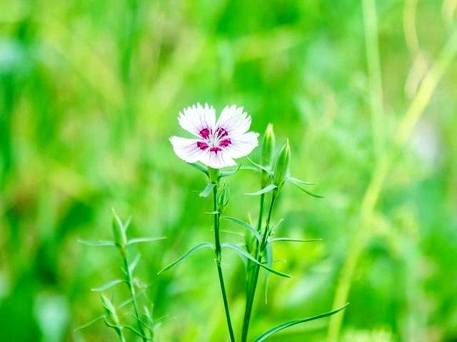河南大反转！开封杀出重围，郑州洛阳都没想到，焦点为啥是它！
