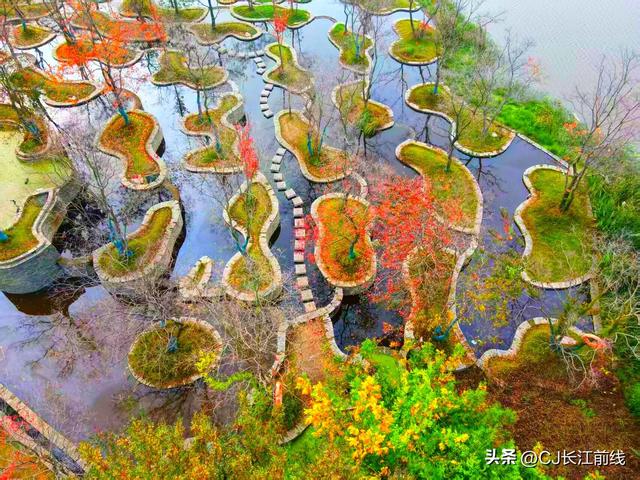 河南淮滨：初冬文化园更艳丽