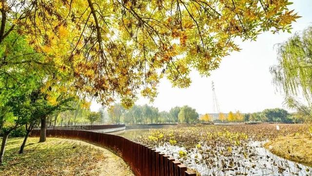 年会抢先看 | 打卡通州！9条特色文旅线路，解锁千年运河新玩法