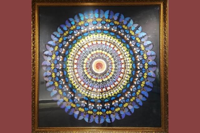 北京顺义国际鲜花港 梦幻的花海秘境