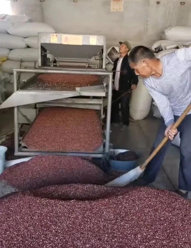 双节“云”销热潮涌！礼县电商交出亮眼成绩单