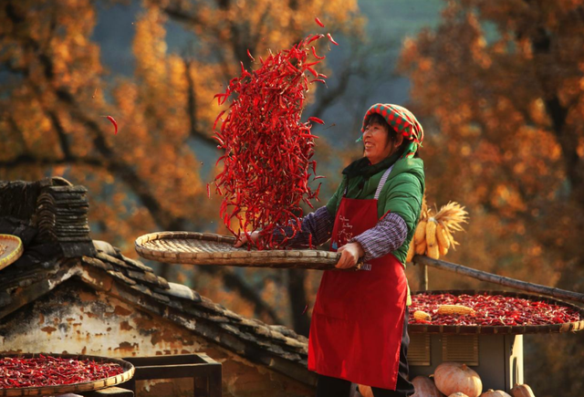 红叶配晒秋，解锁中国赏枫天花板