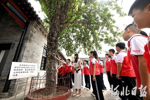 影像河北丨弘扬抗战精神 汲取奋进力量