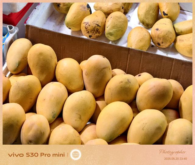 vivo S30 Pro mini评测：续航着实惊艳，配置略遗憾