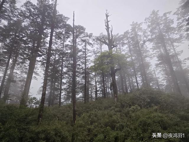 徒步瓦屋山,太艰难了,坚持下来不容易