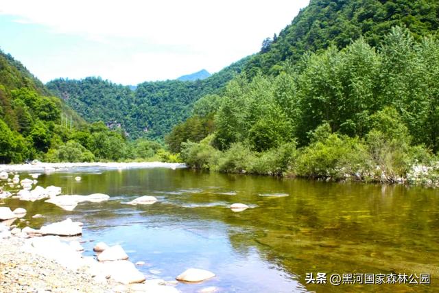 热浪再度来袭？不如进山去！享受20℃+的清凉舒爽