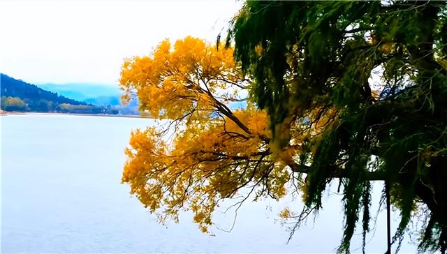 【联动宣传】陇南诗行｜西狭颂秋韵，秦皇湖映色：山水与人文的对望