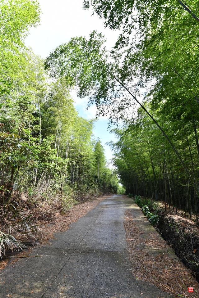 赤水四洞沟瀑布