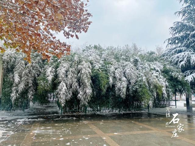 收好这份石家庄“雪景打卡地图”！走起→