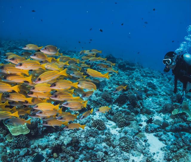 抱紧美日大腿，停飞中国航班、拒绝中国游客的小国，现状如何？