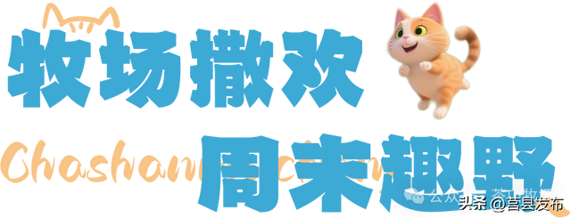 九月的第一场旅行，交给莒县吧！