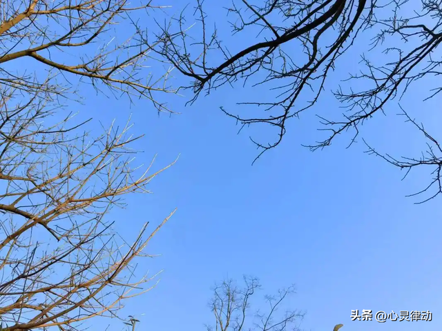 “冷不冷，十月初一早看天”，今日十月初一，今冬要冷到哭吗？