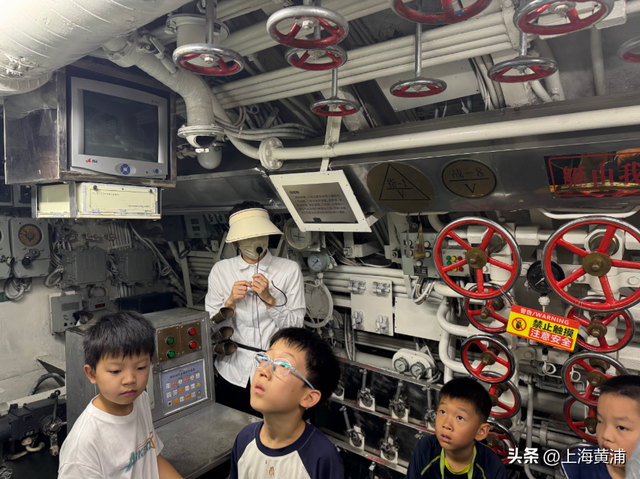 这座“水下长城”人气旺！