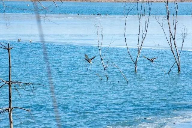 “丰”韵四季 | 一河铺锦绣，园博绽芳华