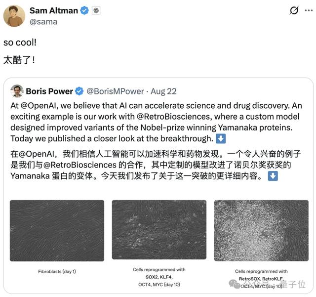 奥特曼“续命”大计：押注让大脑变年轻的药物，预计年底临床试验