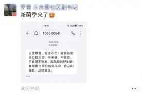 这条短信的含金量，只有云南人才懂！图片