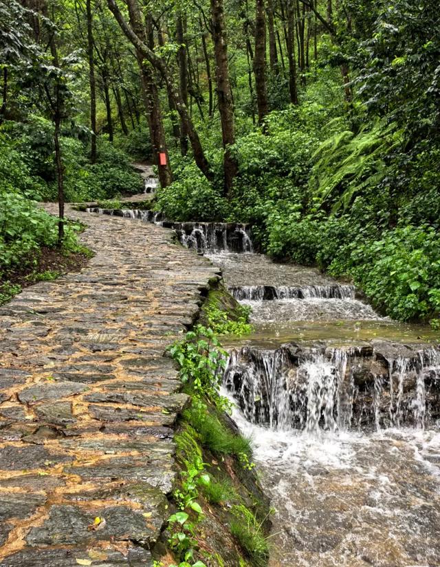 来大理，听音乐度凉夏
