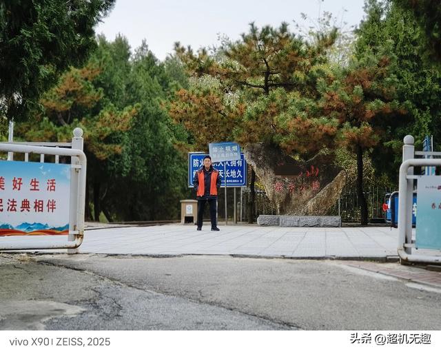 我家狗吃屎那天我的影像记录中