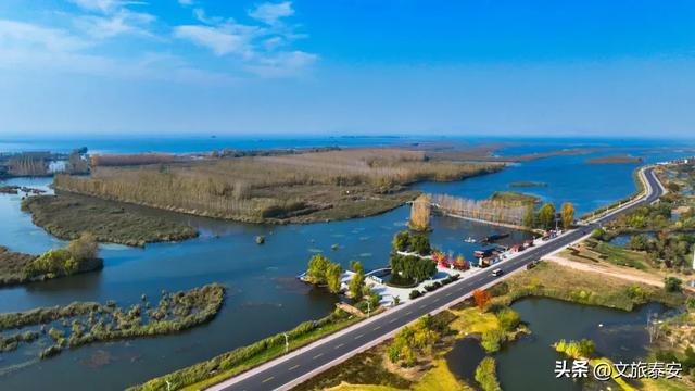 静湖、暖阳、慢时光!入冬后的东平湖已经美成人间的童话啦~