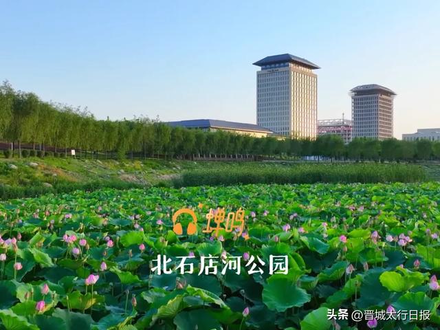 【晋城】嘘！请屏住呼吸，聆听泽州景色里的自然呓语