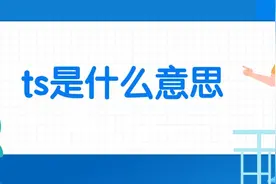 ts是什么意思,ts是什么单词的简称呢?图片