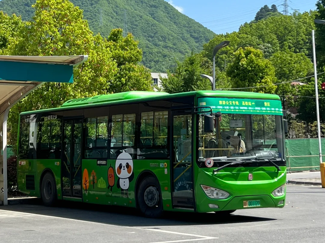 躲进秦岭古村，来佛坪过两天山野慢生活！