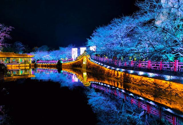 挤疯了！无锡鼋头渚夜樱 “炸街”，这场面给老外看都能吓一跳