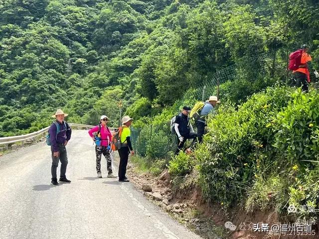 走浙江三县市交界的千年古道,赏亿年奇石美女峰!