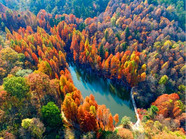 信阳十个醉美秋景等你打卡,来看光山哪些景区上榜