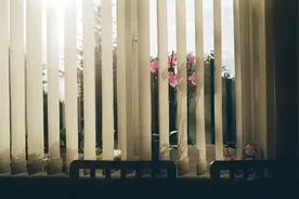 生命至上：遇到这四种人，请远离！图片