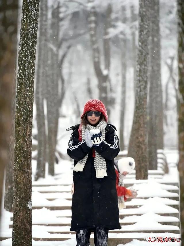 淄博4条旅游专线上线，直达冬日冰雪美景